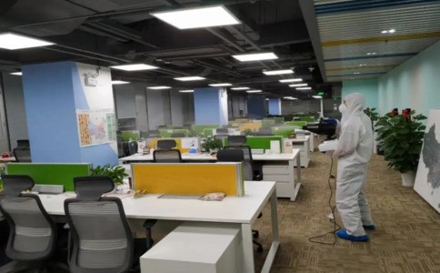 白蚁防治别乱用药 学会这招彻底根除不复发