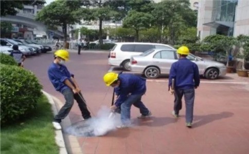 家庭白蚁防治全攻略：3步识别与根除方法，守护房屋安全