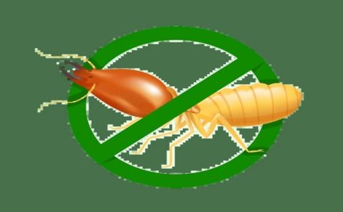 白蚁常年住窝危害动静小,长翅繁殖蚁飞出受气候影响?