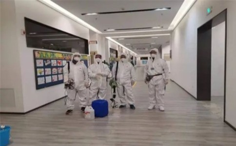 白蚁防治价格揭秘：如何选择性价比高的专业服务？