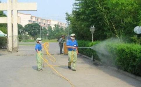 白蚁防治全攻略：上海白蚁防治所教您预防与灭治方法