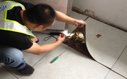 家里有白蚁怎么办？白蚁防治的科学方法大揭秘