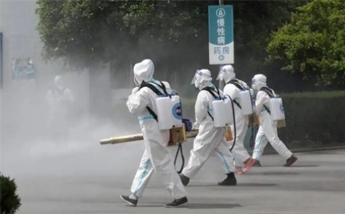 上海白蚁防治十大误区，很多人都不知道！