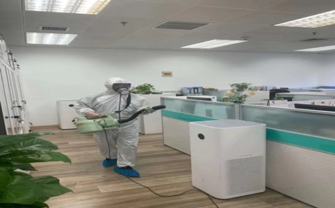 发现白蚁别乱喷药！防治常见误区和正确做法